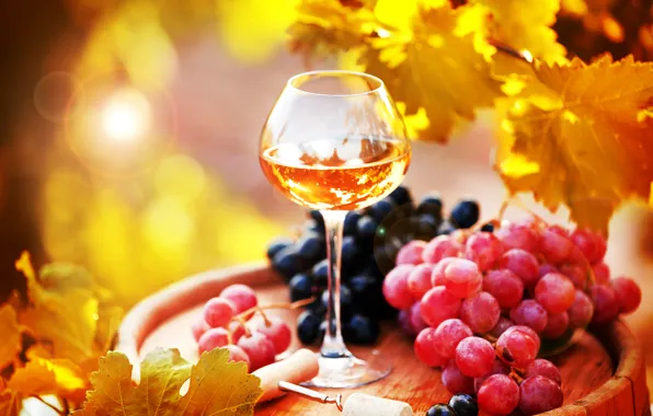 Photo, Leaves, Glasses, Wine, Grapes, Food