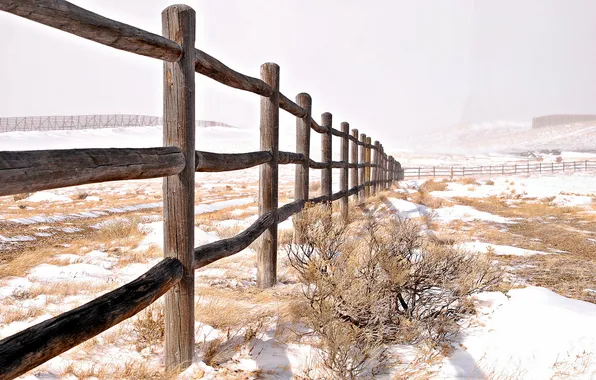 Field, landscape, the fence