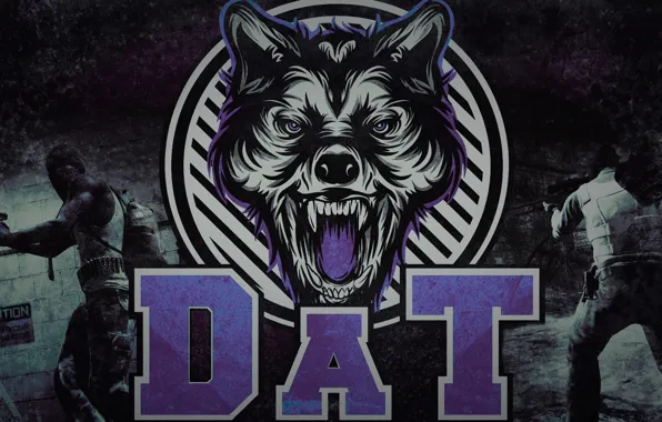 Gamer, team, pro, cs go, dat team, pro team, dat