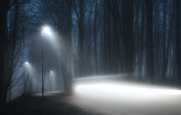 Picture road, light, night, fog