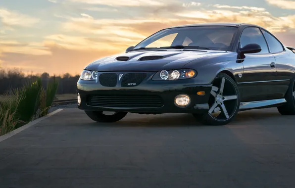 Picture Black, Pontiac, GTO