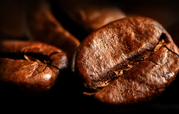 Picture background, coffee, grain