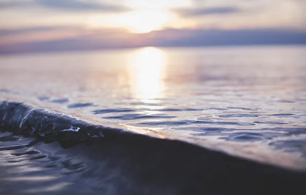 Wave, water, sunset
