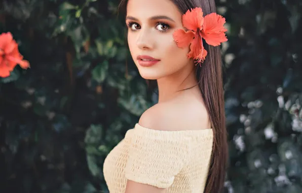 Picture flower, look, girl, nature, brunette, blouse, shoulder, hibiscus