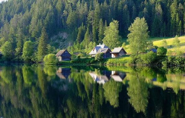 Picture forest, lake, reflection, home, house, pond