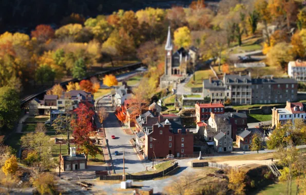 Picture autumn, trees, home, tilt shift, small town