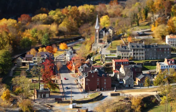 Autumn, trees, home, tilt shift, small town