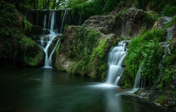 Forest, nature, river, waterfall