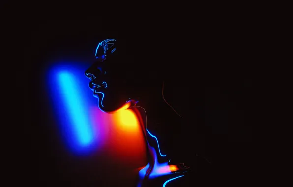 Picture light, face, silhouette