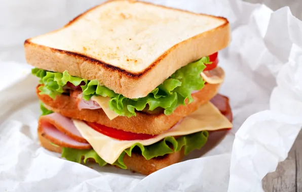 Picture leaves, food, cheese, bread, sandwich, tomatoes, salad, toast