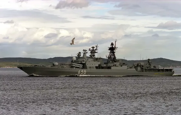 Sea, ship, Seagull, large, Navy, anti-submarine, the sky., Admiral Chabanenko