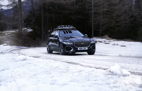 Road, forest, snow, trees, Jaguar, universal, Jaguar XF, 2020