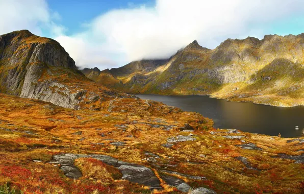 Picture autumn, grass, lake, mountain, Norway, Agvatnet