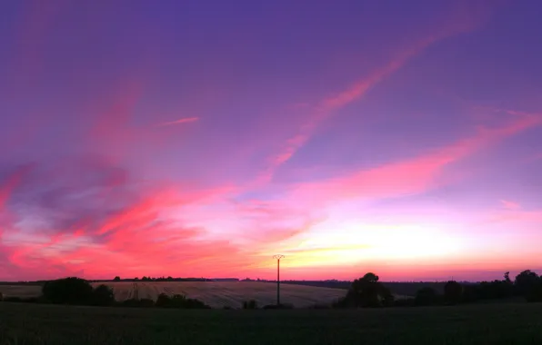 Greens, field, the sky, clouds, trees, landscape, sunset, the evening