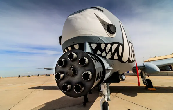 Attack, A-10, Thunderbolt II