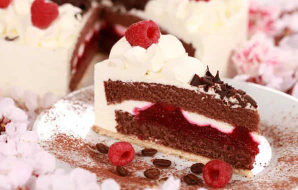 Berries, raspberry, coffee, chocolate, cake, cream, dessert, cakes