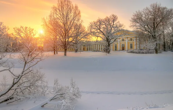 Picture winter, snow, trees, sunset, traces, Saint Petersburg, Russia, Pushkin