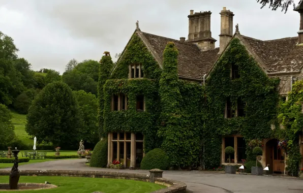 Trees, England, home, houses, England, architecture., Wilthire