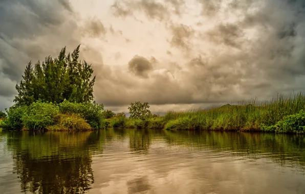 Picture the sky, grass, trees, clouds, tropics, pond, overcast, Hawaii