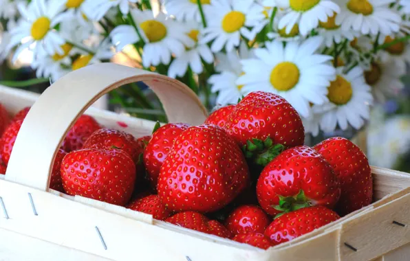 Picture flowers, berries, chamomile, strawberry, basket