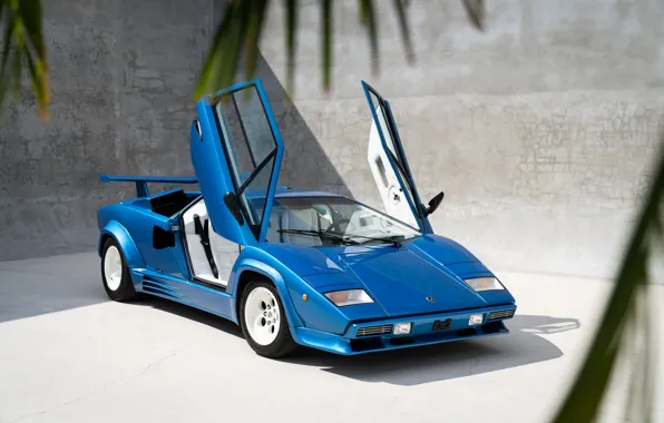 Lamborghini, Countach, Lamborghini Countach 5000QV, lambo door