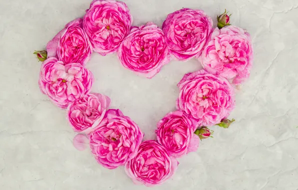 Picture love, flowers, heart, roses, petals, love, pink, heart