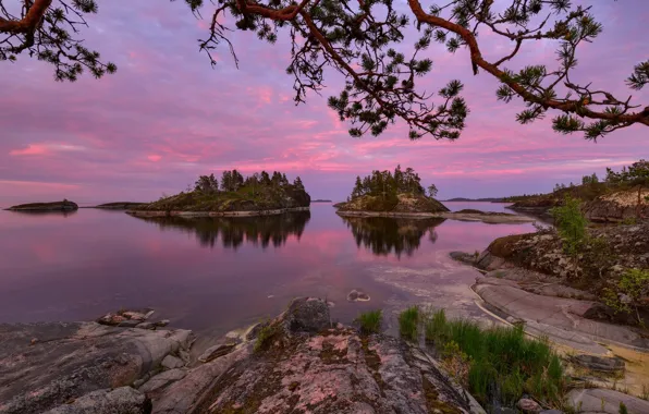 Trees, landscape, night, nature, lake, stones, Lake Ladoga, Ladoga