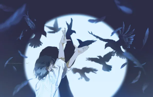Shadow, crows, guy