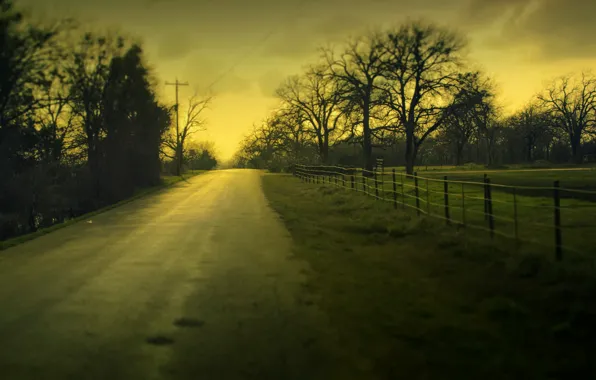 Road, greens, the sky, grass, leaves, clouds, macro, trees