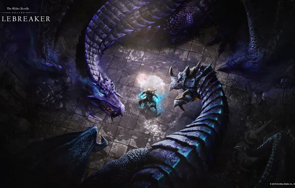 Dragons, The Elder Scrolls Online, Dragons, tes online, breton, Breton, THE ELDER SCROLLS ONLINE: SCALEBREAKER