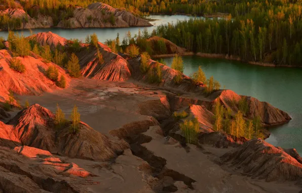 Sand, trees, quarry, Tula oblast