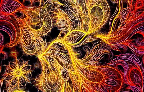 Abstraction, fantasy, black background, screensaver on your desktop, fractal picture, fiery shades, "feather of the …