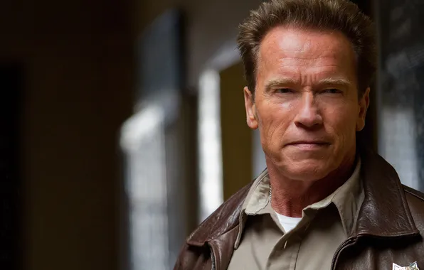 Picture Arnold Schwarzenegger, Arnold Schwarzenegger, Return of the hero, The Last Stand, Sheriff, Ray Owens