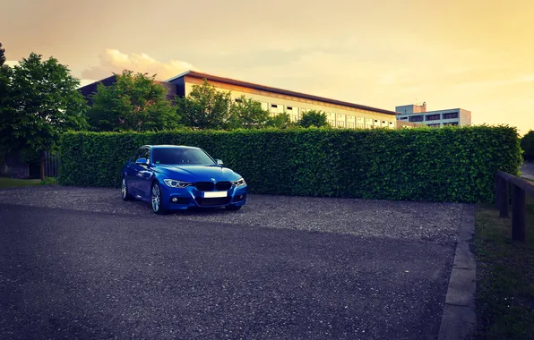 Picture BMW, Blue, BMW, Tuning, F30, BBS, 330d