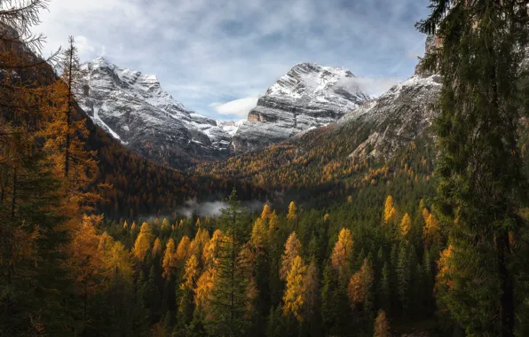 Autumn, forest, the sky, clouds, landscape, mountains, fog, rocks