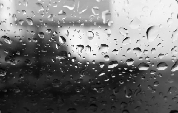 Picture autumn, the sky, glass, drops, rain, mood, blurred background, trees. Billboard