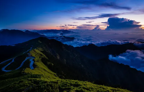 Forest, the sky, grass, clouds, landscape, mountains, nature, fog