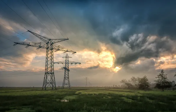 Field, the evening, power lines
