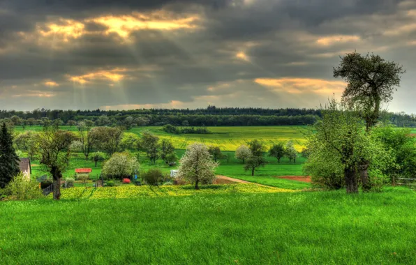 Picture the sky, grass, nature, field, Germany, Hungen, Hessen