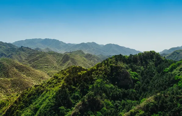 Picture forest, the sky, trees, landscape, mountains, nature, plants, valley