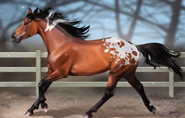 Picture snow, horse, horse, the fence, blur, art, spot, aomori