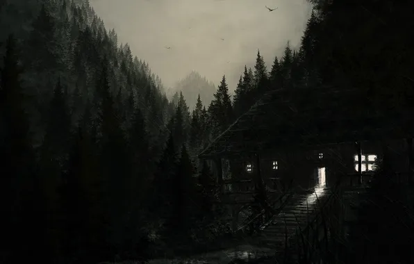 The sky, trees, mountains, lights, grey, home, art, wilderness