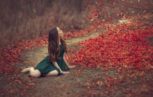 Autumn, leaves, girl, bokeh, green dress