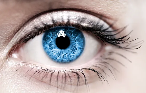 Picture woman, blue, eye, iris