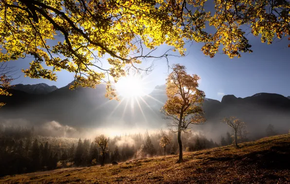 Picture morning, light, autumn, mountains