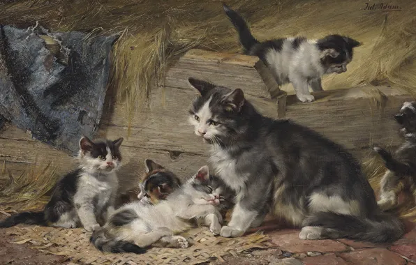 German painter, German painter, oil on canvas, Mother Cat with Five Kittens, Julius Anton Adam, …