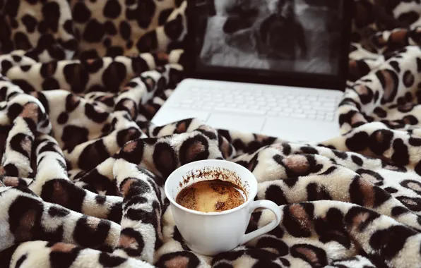 Sheet, the film, bed, coffee, Cup, MacBook