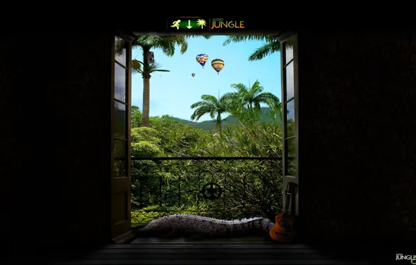 Picture Crocodile, Door, Jungle
