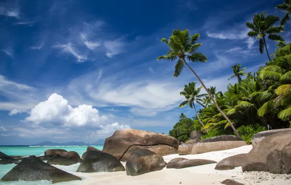 Beach, tropics, stones, palm trees, the ocean, coast, Seychelles