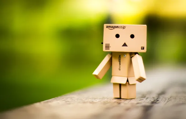 Picture toy, Danbo, amazon